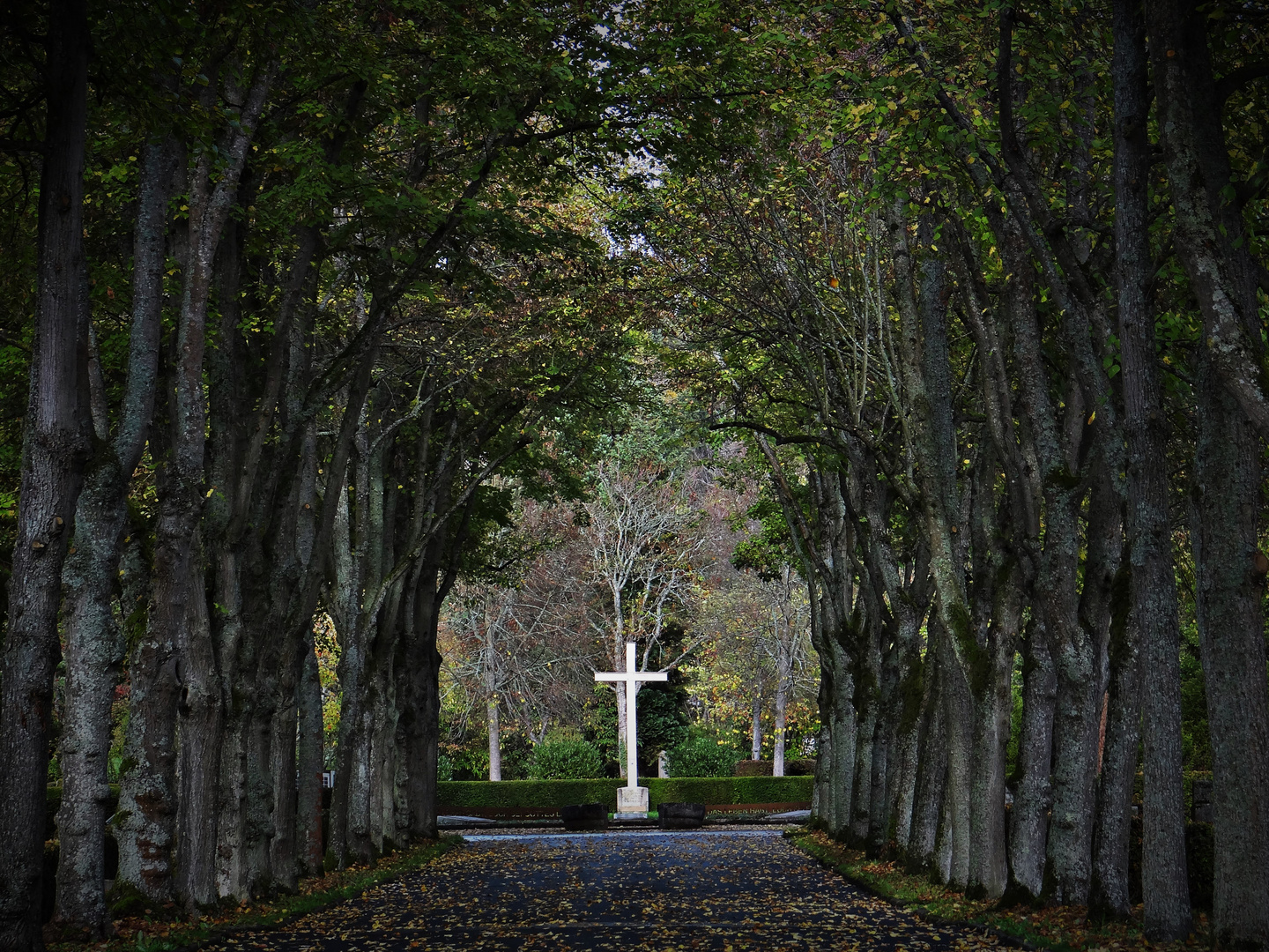 Parkfriedhof