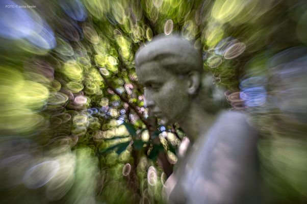 Parkfriedhof Ohlsdorf