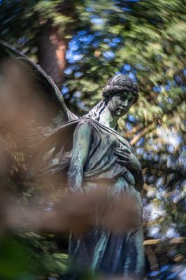 Parkfriedhof Ohlsdorf