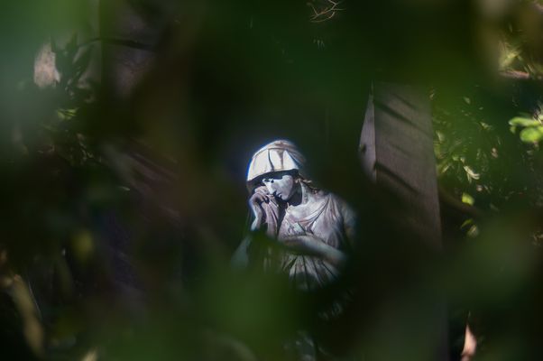  Parkfriedhof Ohlsdorf