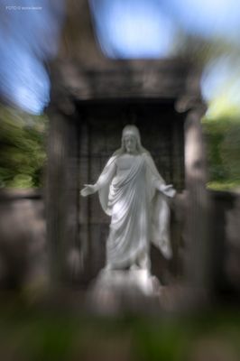 Parkfriedhof Ohlsdorf