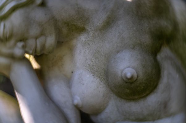 Parkfriedhof Ohlsdorf