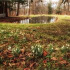 Parkfrühling