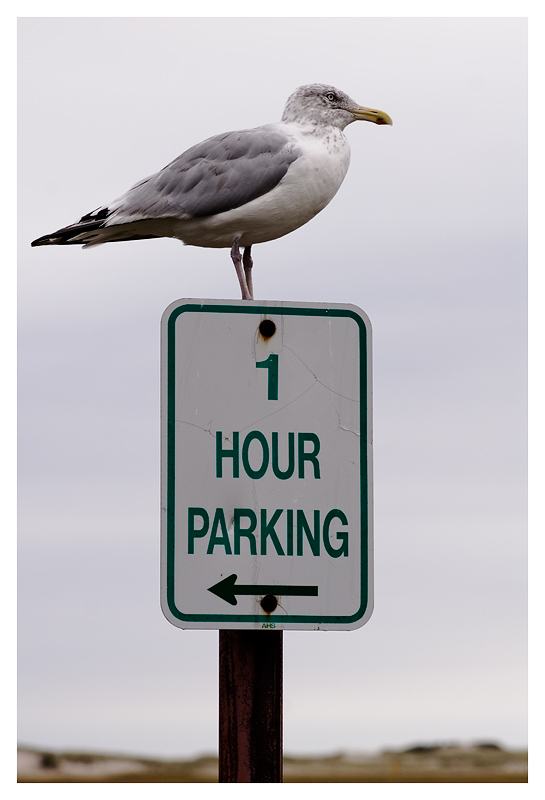 ...parking...