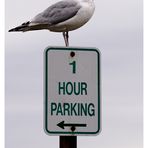 ...parking...