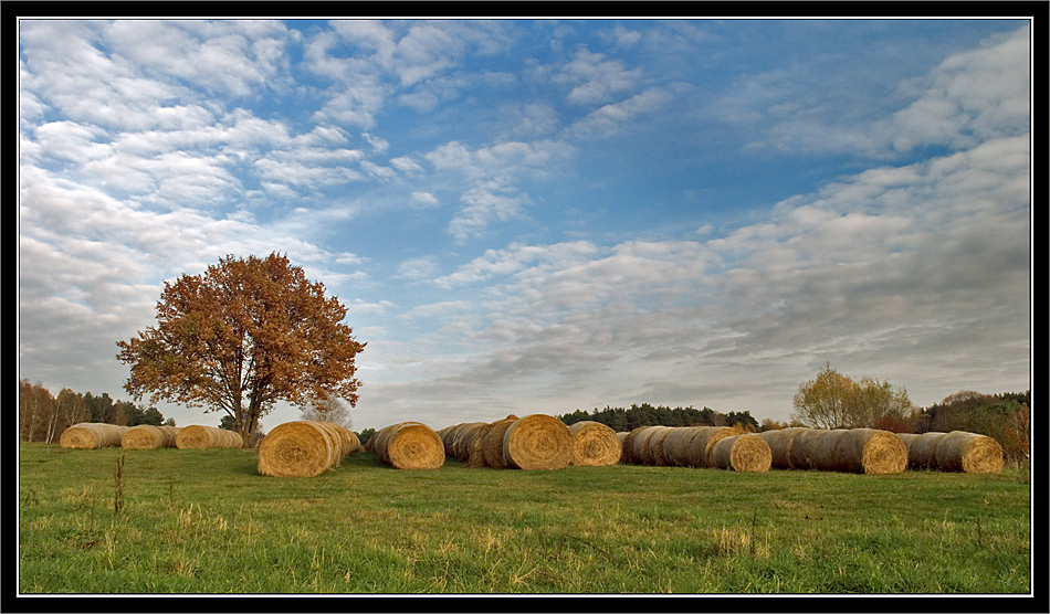 parking (II) ...