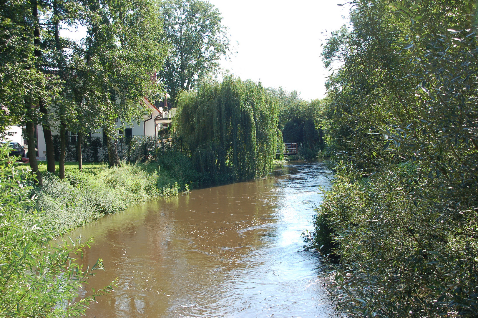 Parklandschaft