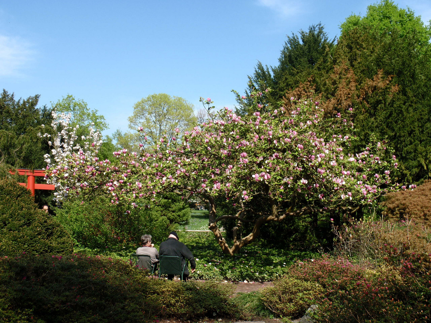 parklandschaft