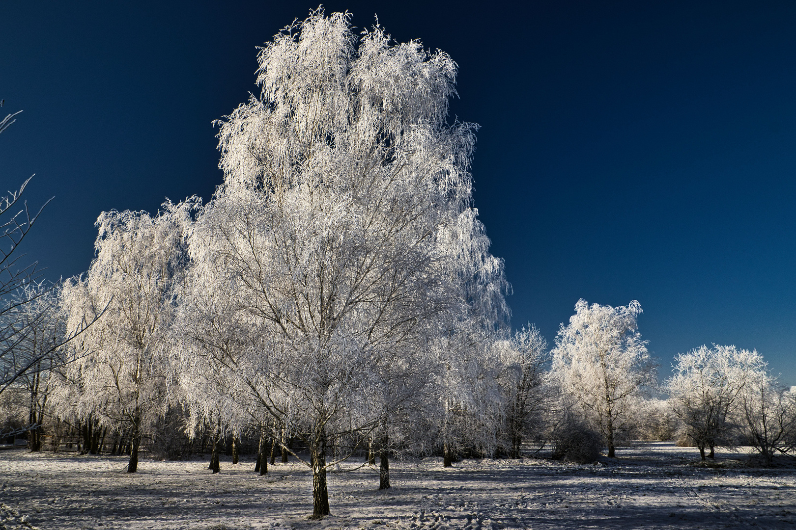 Parklandschaft