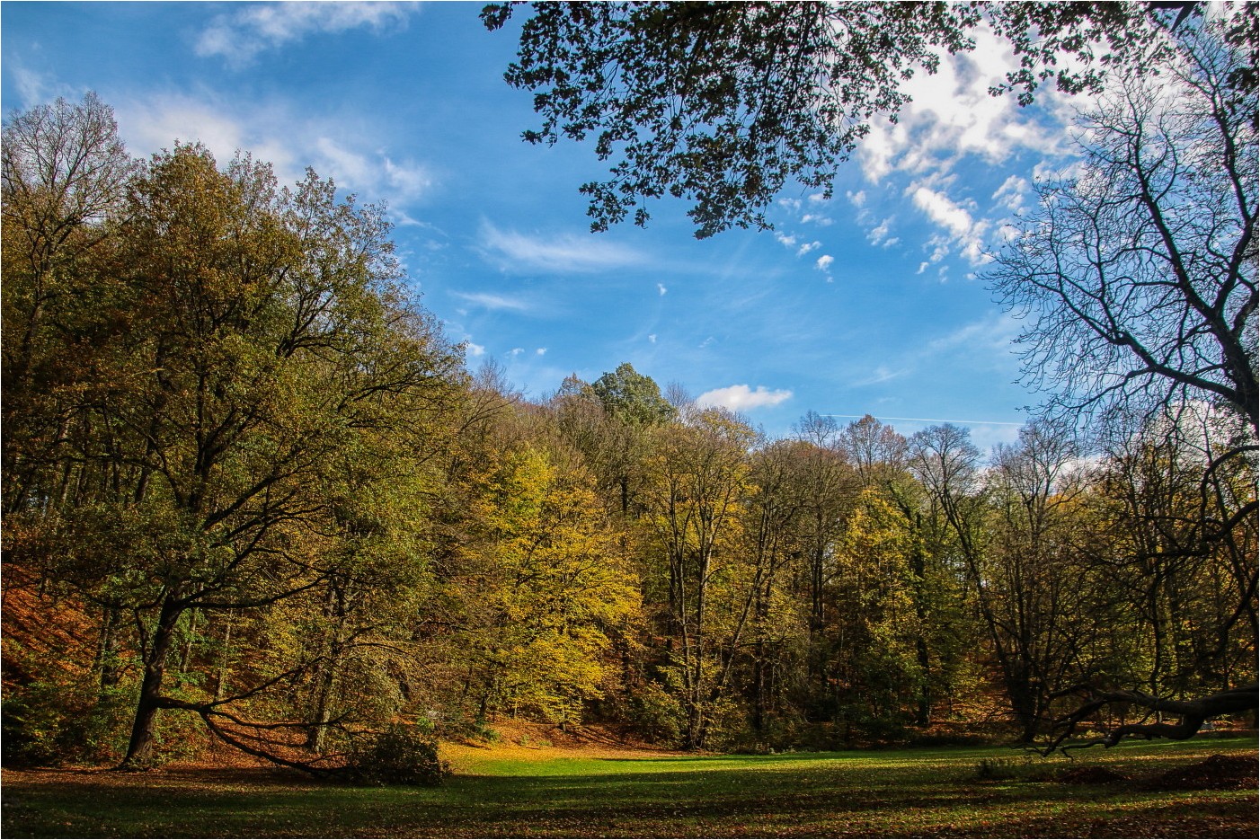 Parklandschaft Foto Bild art nature park Bilder auf Parklandschaft Foto Bild art nature park Bilder auf