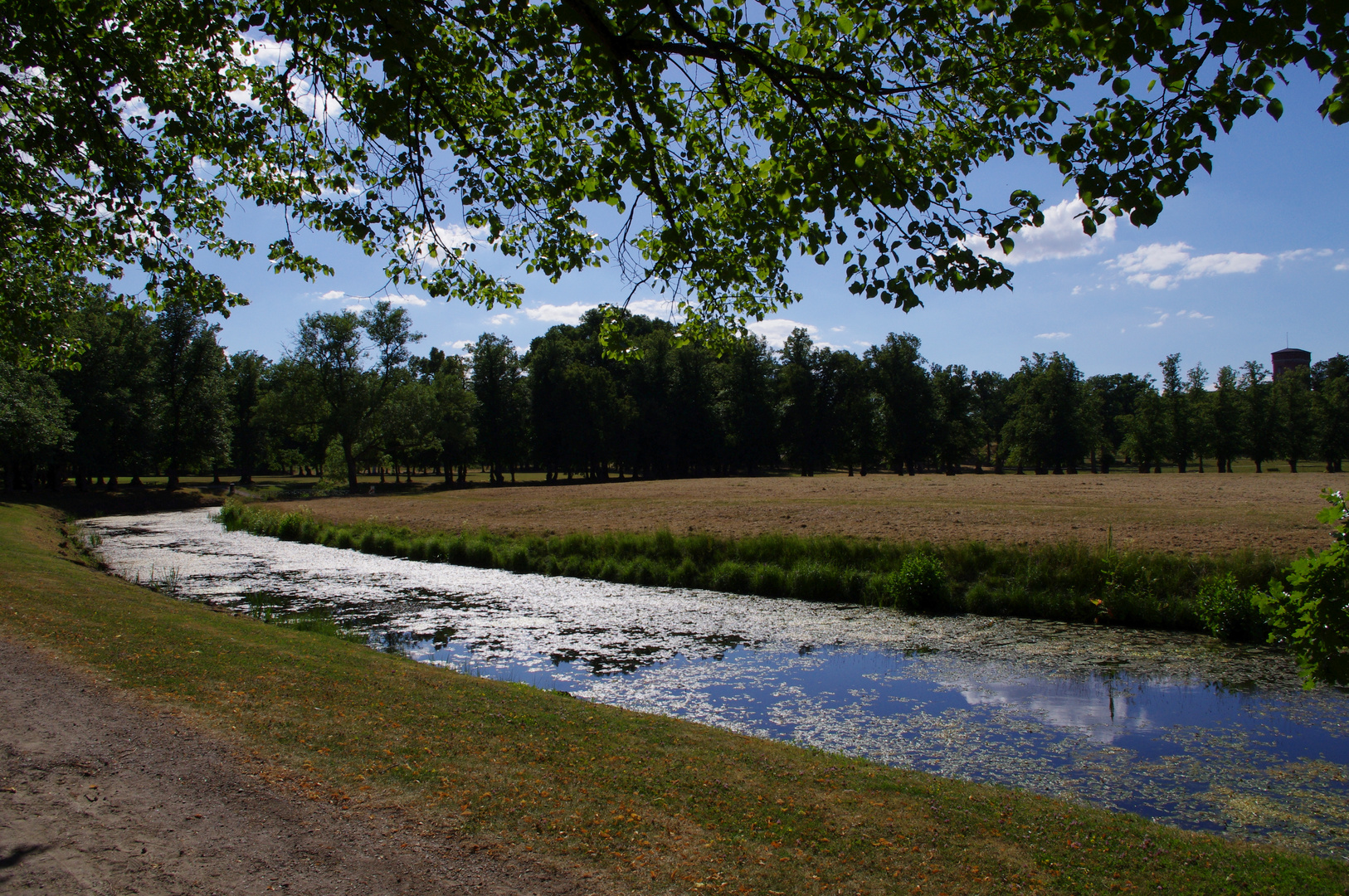 Parklandschaft