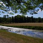 Parklandschaft