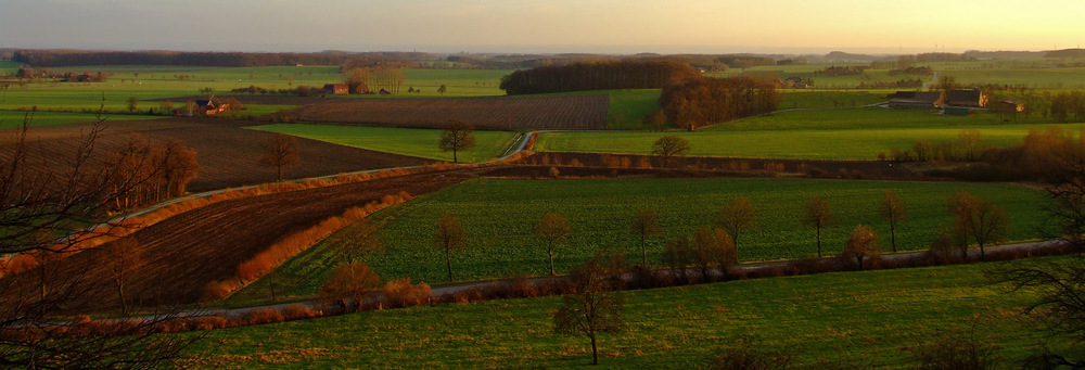 Parklandschaft