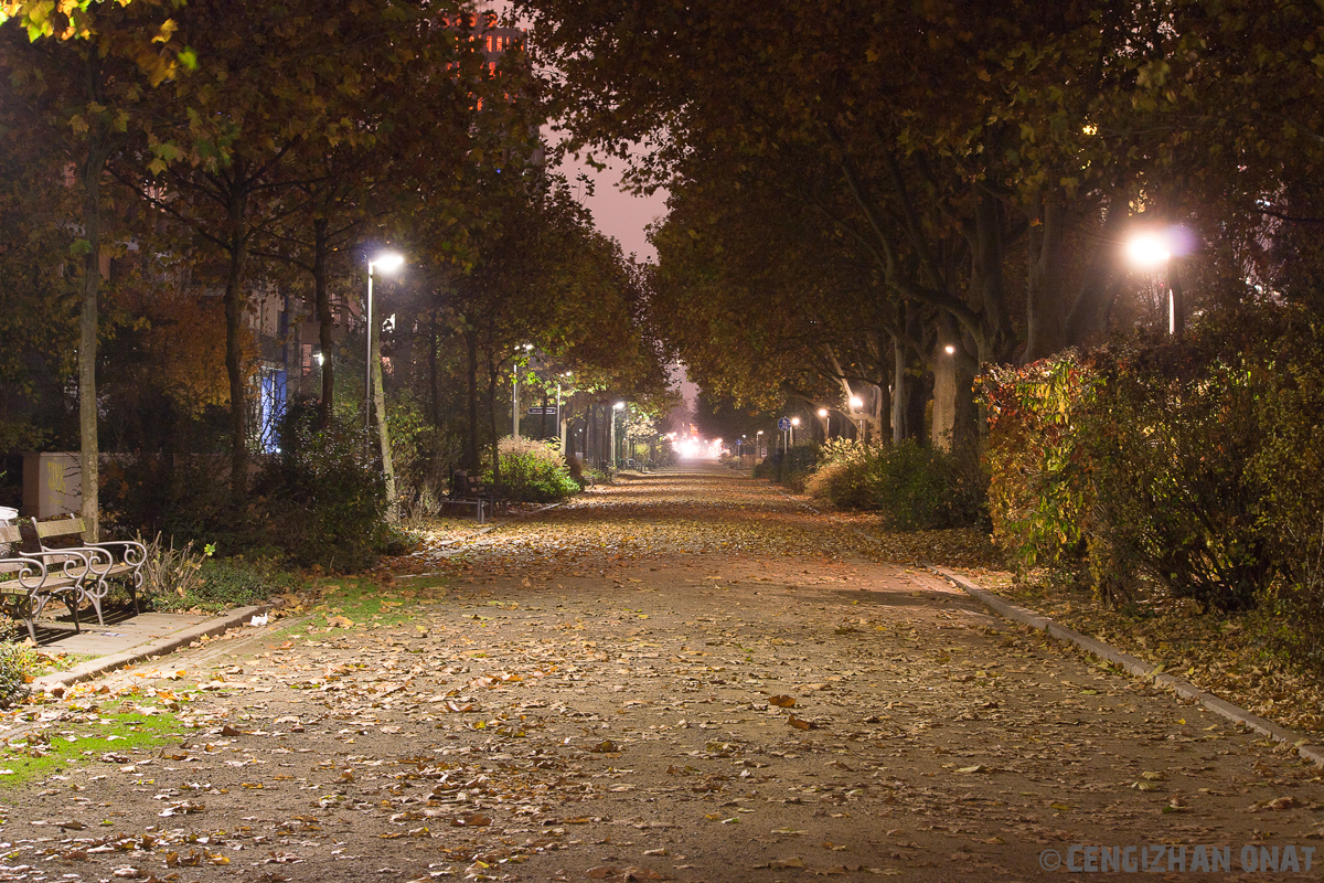 Parklandschaft