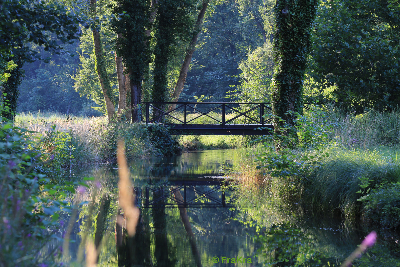 Parklandschaft