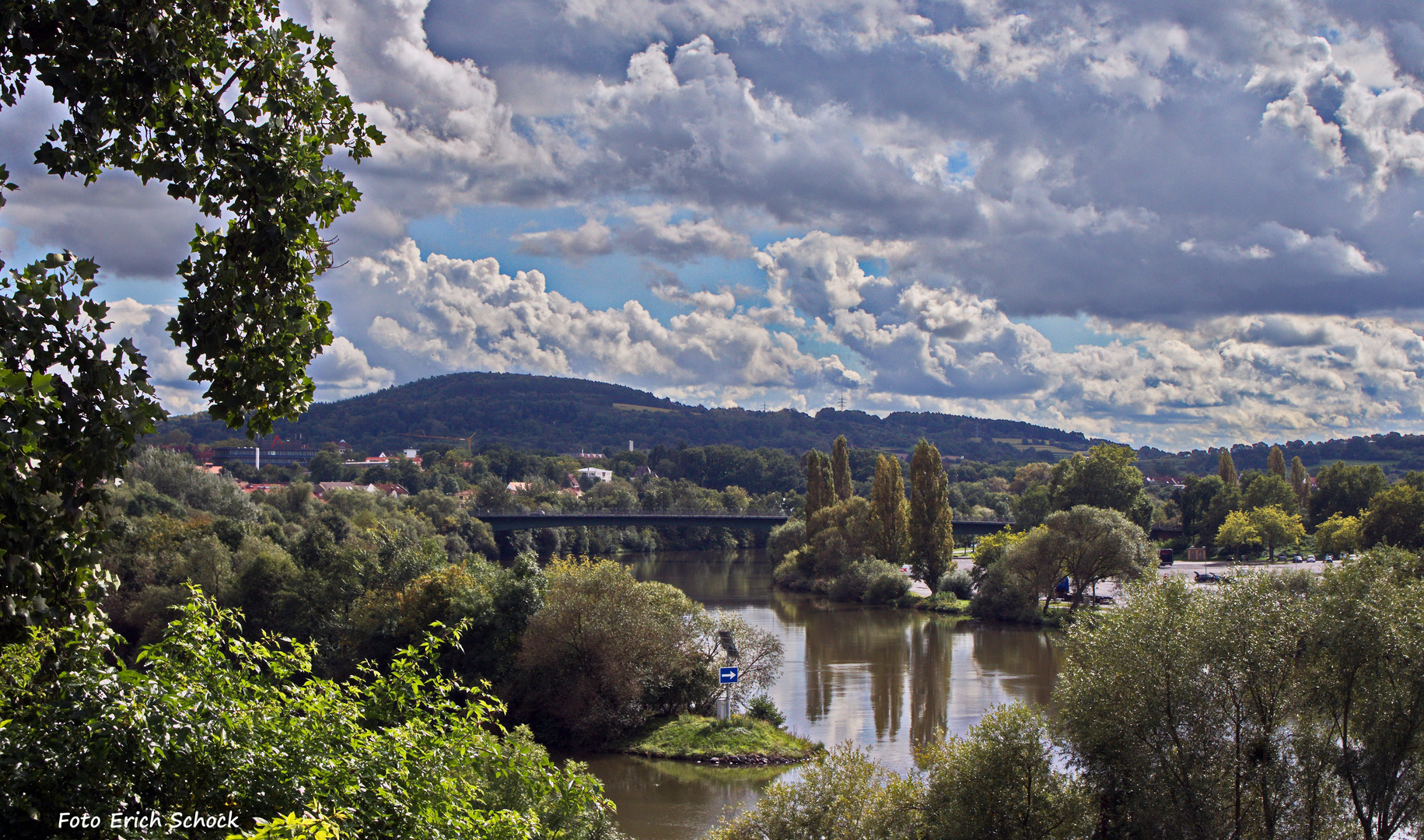 Parklandschaft am Main