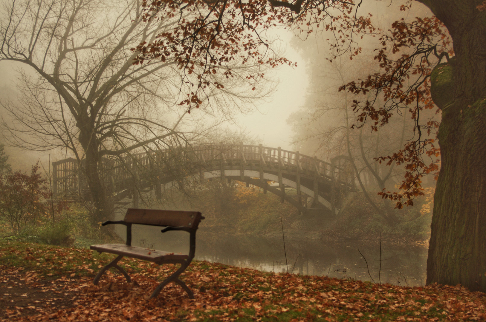 Parklandschaft am Morgen