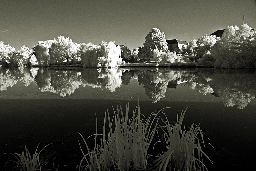 Parklandschaft am Obersee