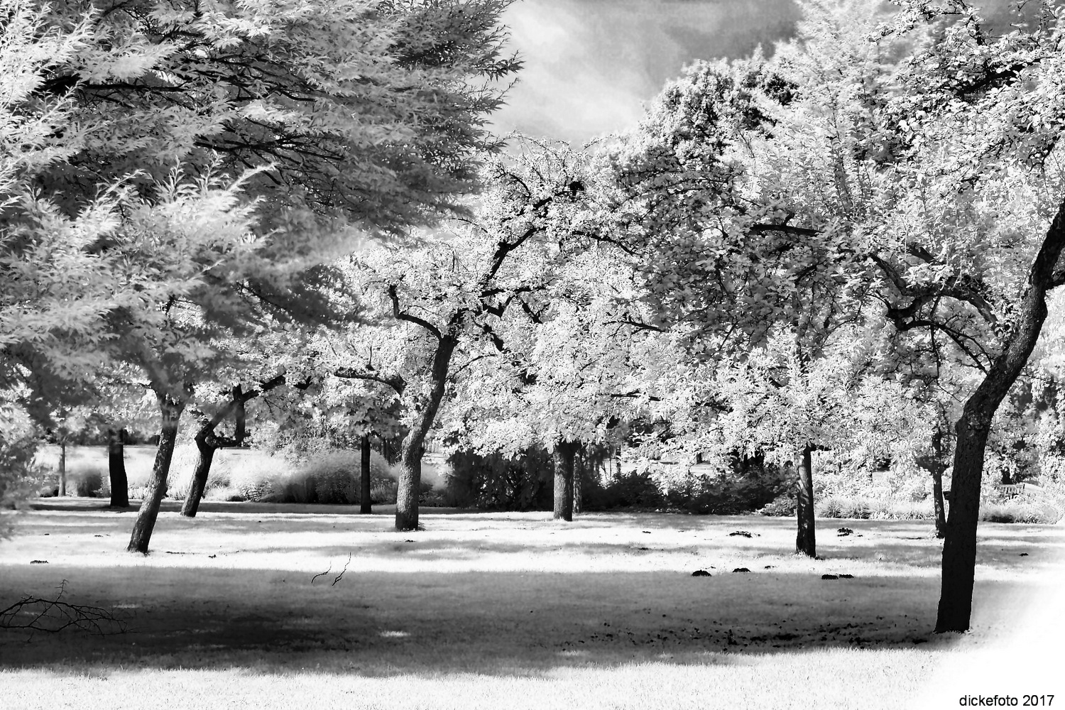 Parklandschaft an der Saline