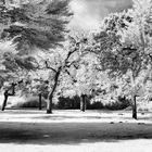 Parklandschaft an der Saline