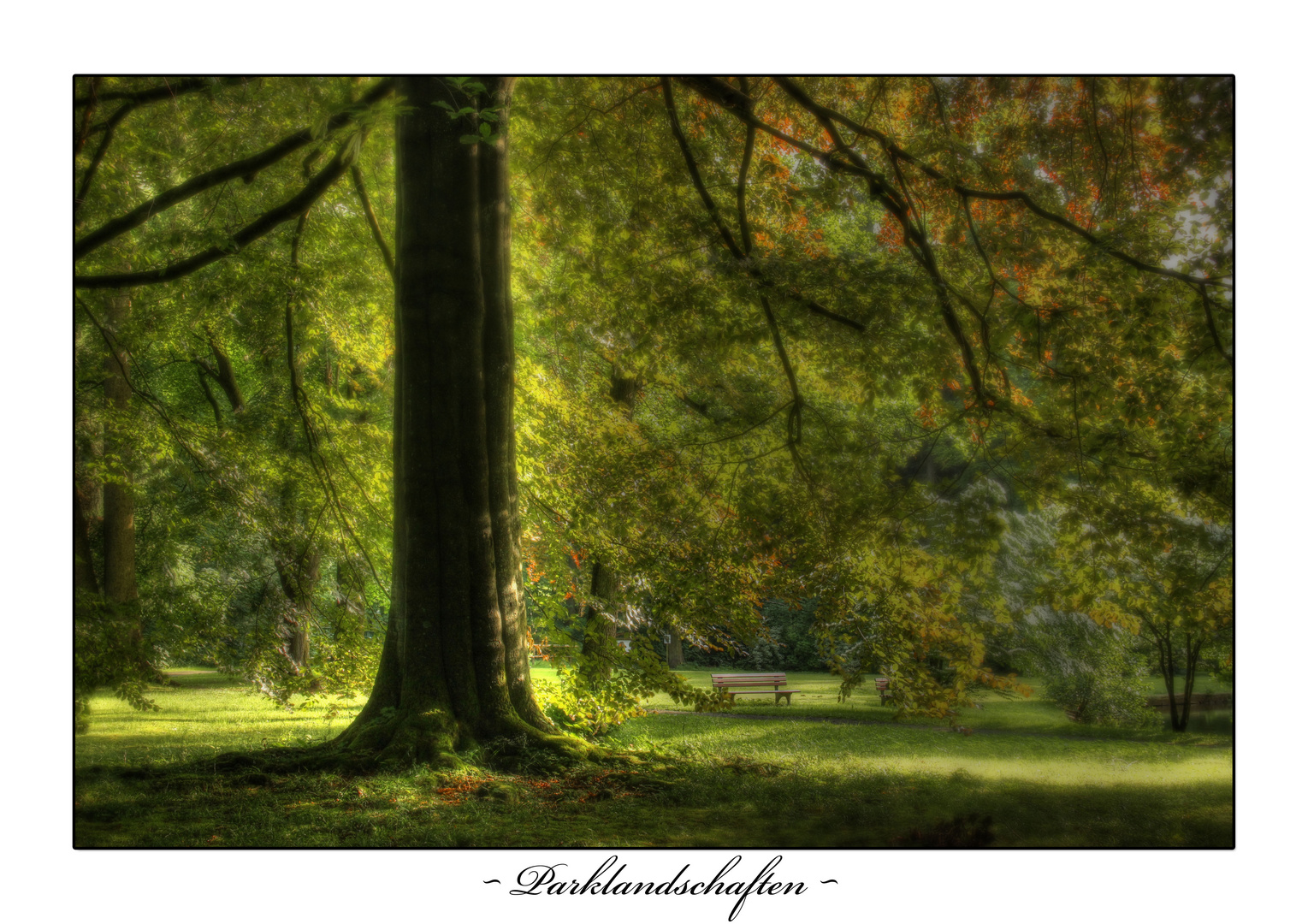 ~ Parklandschaft ~