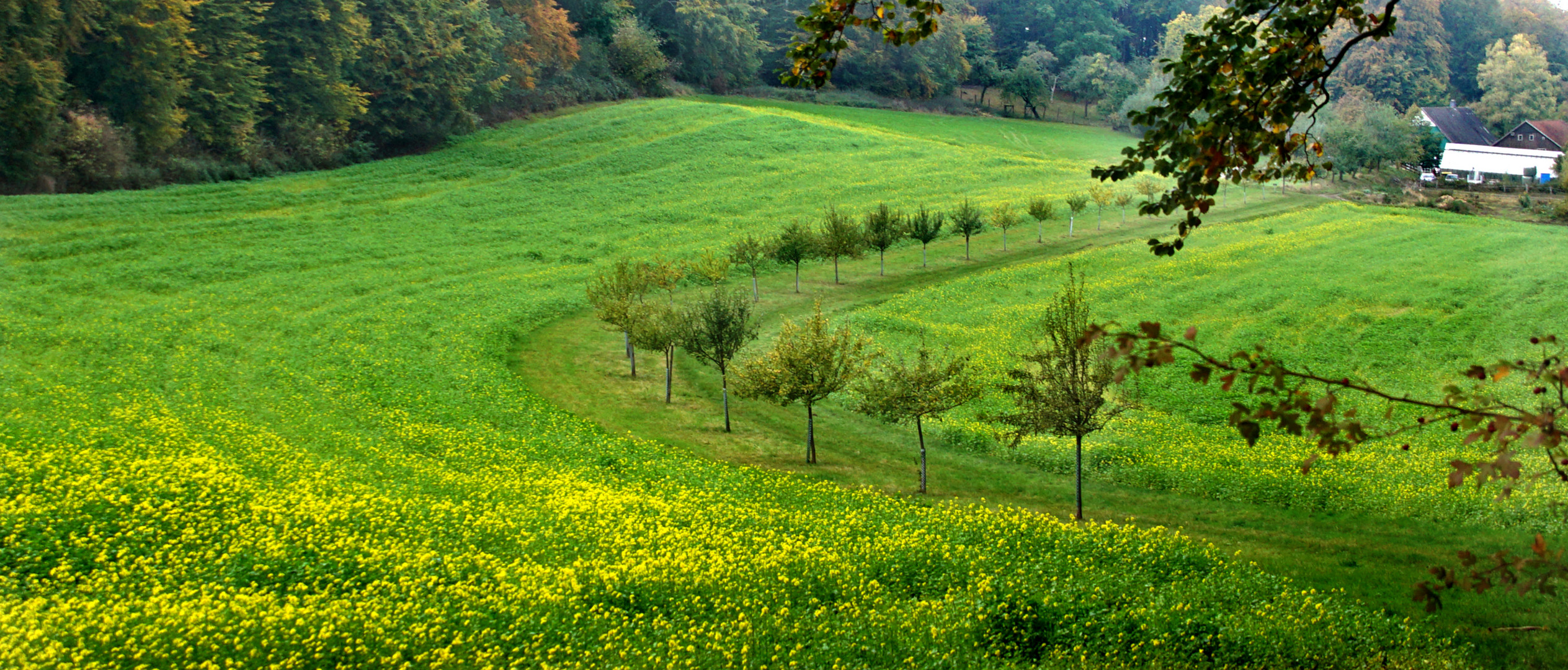 Parklandschaft bei Werther/Bielefeld