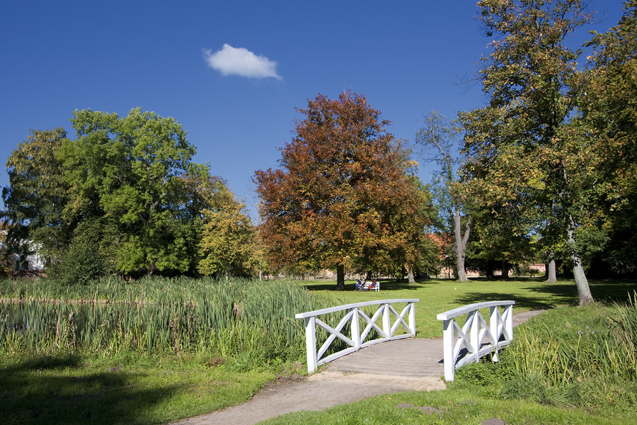 Parklandschaft ...