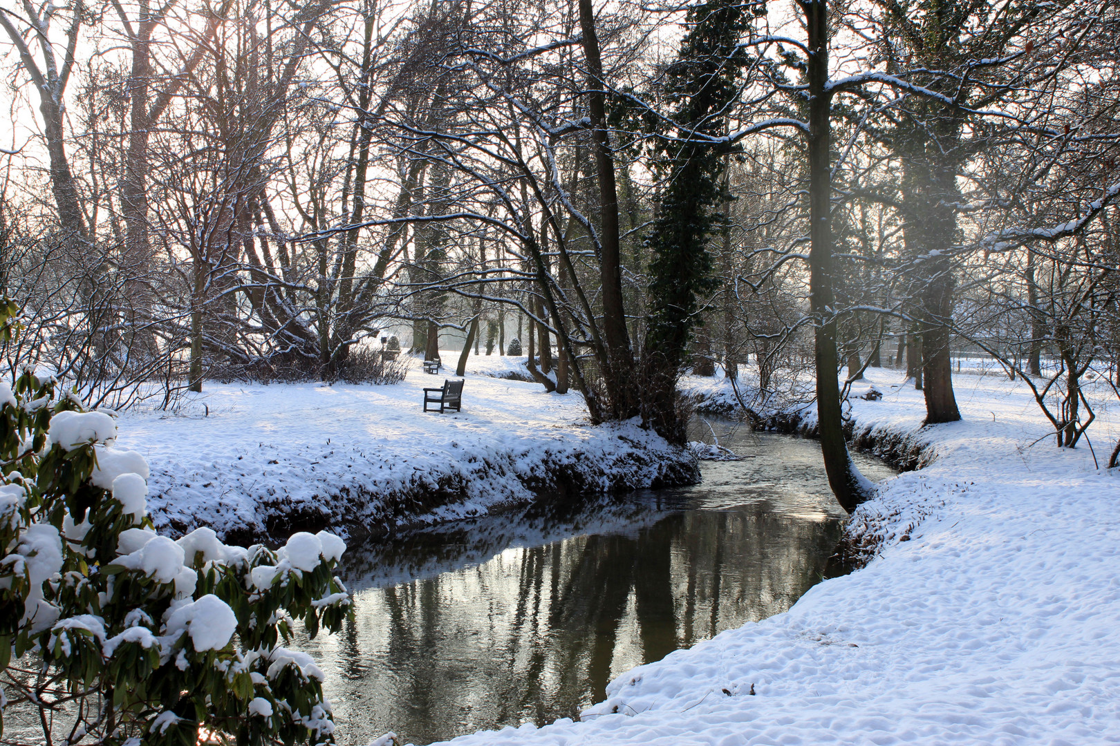 Parklandschaft