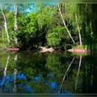 Parklandschaft Dösen