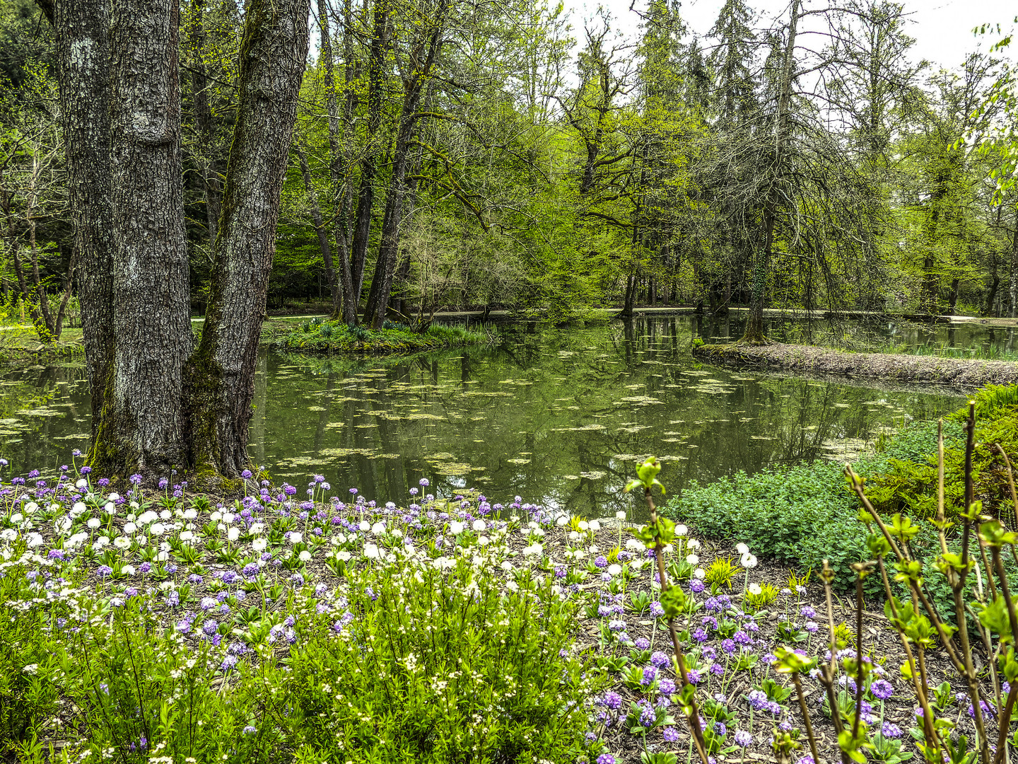 Parklandschaft