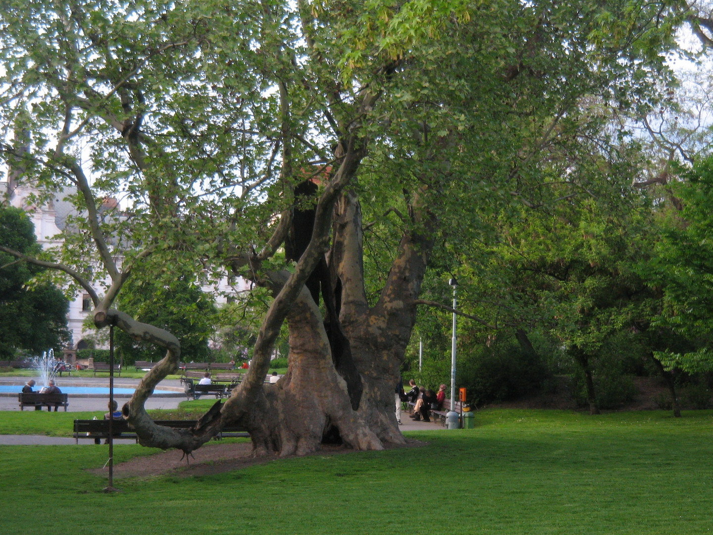 Parklandschaft