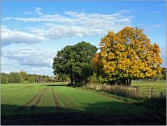 Parklandschaft II