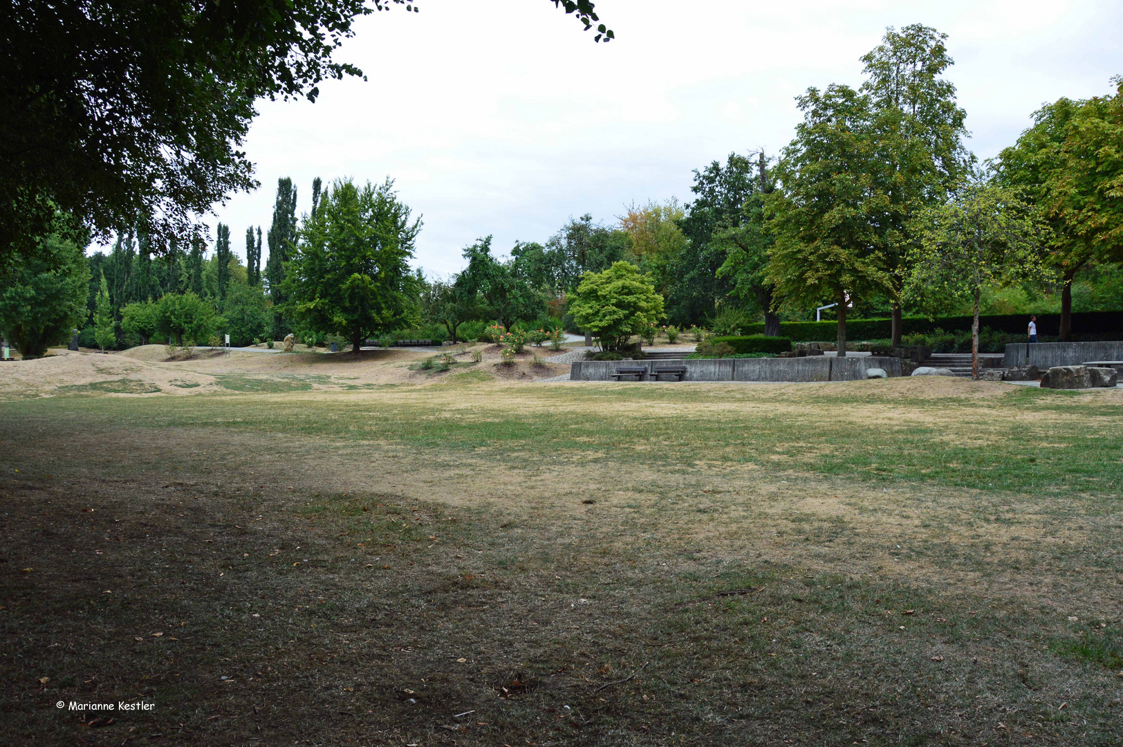Parklandschaft im August 2018