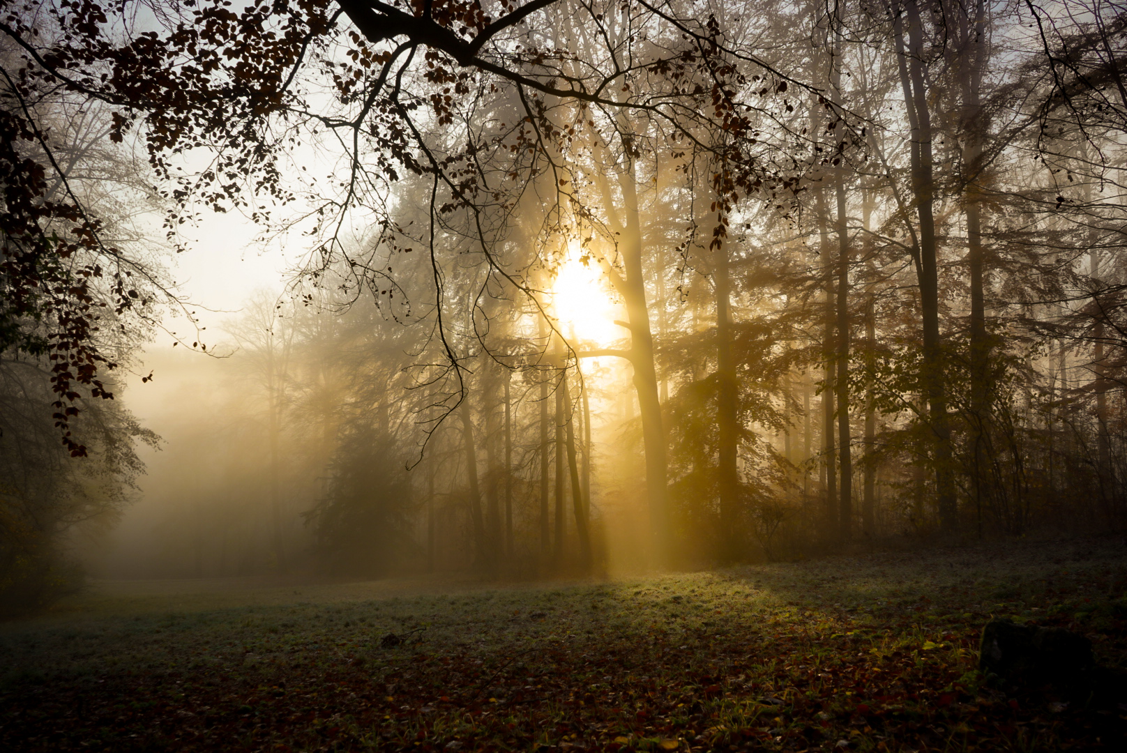 Parklandschaft im Herbstlicht 