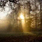 Parklandschaft im Herbstlicht 