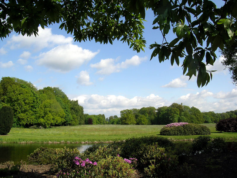 Parklandschaft im Mai