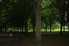 Parklandschaft im Norden von Dortmund