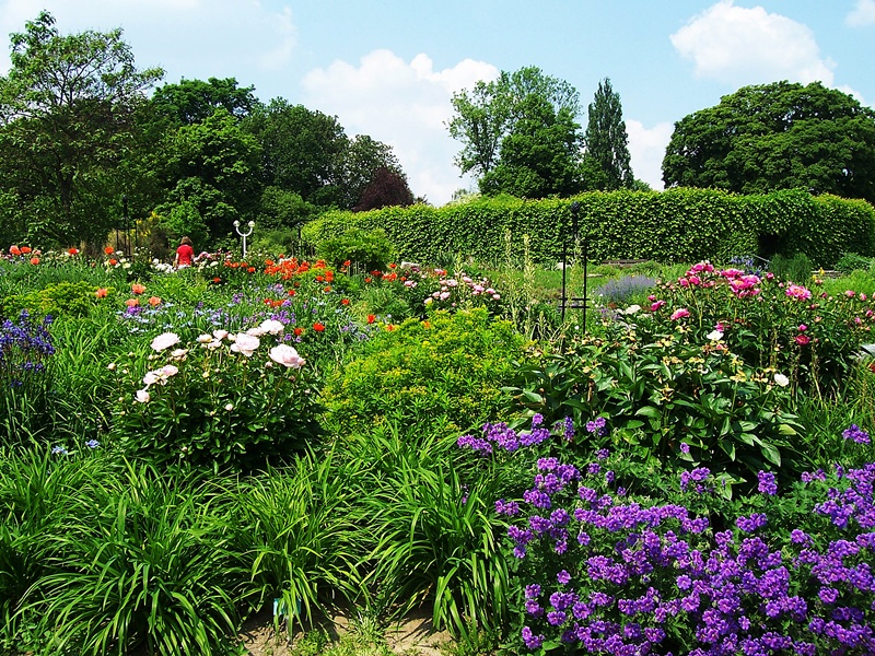 Parklandschaft im Sommer