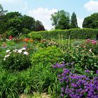 Parklandschaft im Sommer