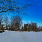 Parklandschaft im Winter