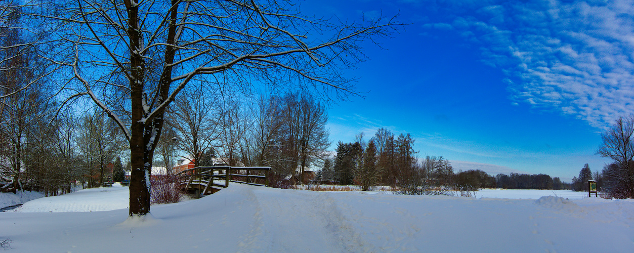 Parklandschaft im Winter