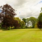 Parklandschaft in England