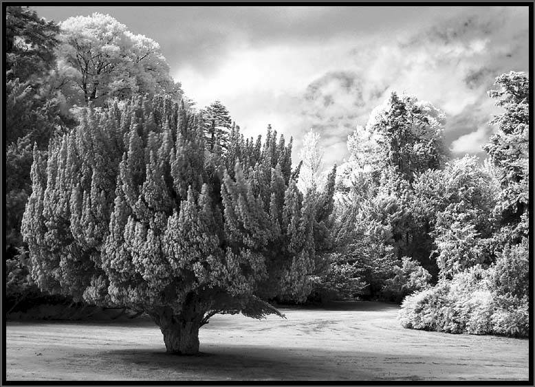 Parklandschaft in Nordengland