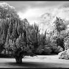 Parklandschaft in Nordengland