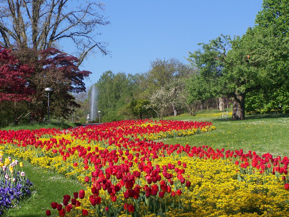 Parklandschaft Killesberg I, Stuttgart