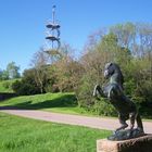 Parklandschaft Killesberg III, Stuttgart