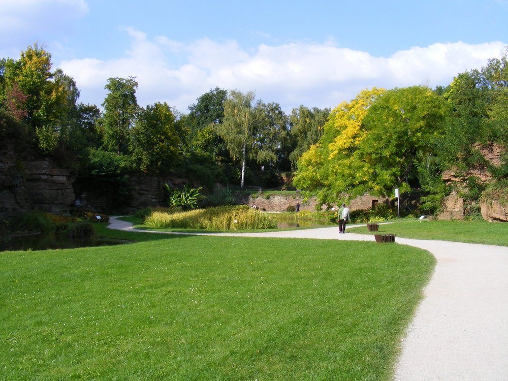 Parklandschaft Killesberg VIII, Stuttgart