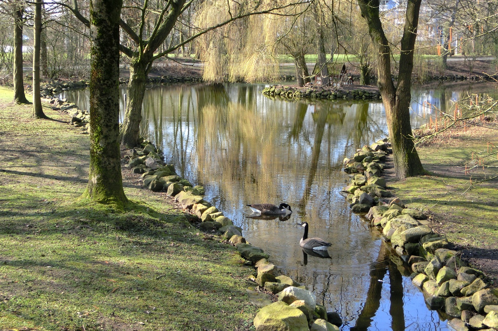 Parklandschaft mit Gänsen