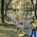 Parklandschaft mit Gänsen