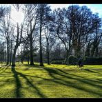 Parklandschaft mit Radfahrer